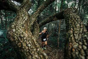 BIB: 
                            <button type="button" onclick="openModal(25394013)" class="btn btn-primary btn-sm float-right btn-popup" data-toggle="modal" data-target=".modal-high-quality">
                        <i class="fas fa-shopping-cart"></i> Add to Cart
                    </button>
                                            <button type="button" onclick="isThisMe(25394013, true)" class="btn btn-success btn-sm float-right btn-popup btn-isme hidden" data-toggle="tooltip" data-placement="bottom" title="นี่คือรูปของคุณใช่ไหม คลิกที่นี่เพื่อเอาเข้าอัลบั้ม">
                        <i class="fas fa-plus"></i> Add to album
                    </button>
                    <button type="button" onclick="isThisMe(25394013, false)" class="btn btn-warning btn-sm float-right btn-popup btn-isnotme hidden">
                        <i class="fas fa-ban"></i> Remove from album
                    </button>